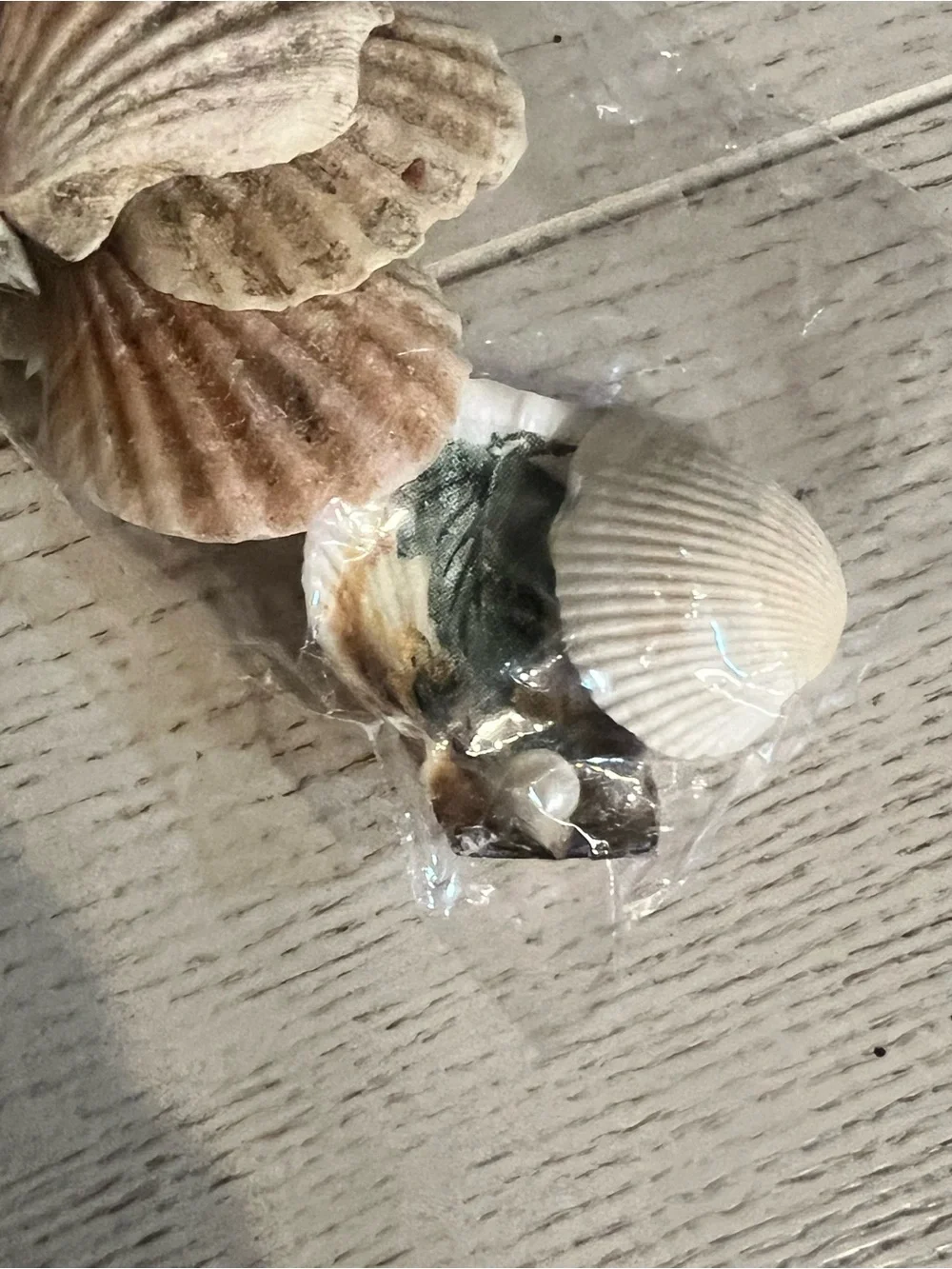 Bag of Small Decoupaged Decorative Seashells with Floral Patterns